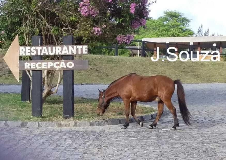 Flat Condominio Hotel Fazenda Gravata Monte Castelo エクステリア 写真